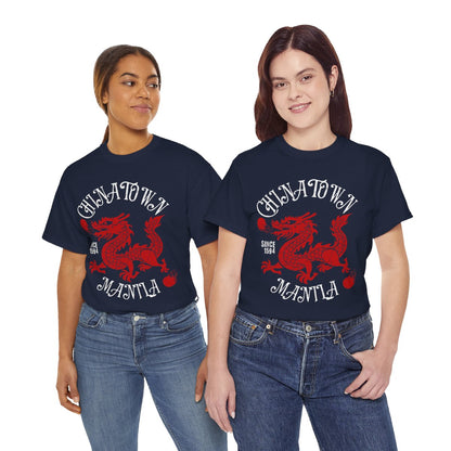CHINATOWN 3 (Fil-Chi Collection) - Filipino Food (Basic Tee)