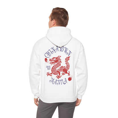 CHINATOWN 3 (Fil-Chi Collection) - Filipino Food (Hoodie)